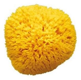 Натуральна губка для ванни OK Baby Honeycomb sea sponge, р.10, жовтий (38471000) - фото 1