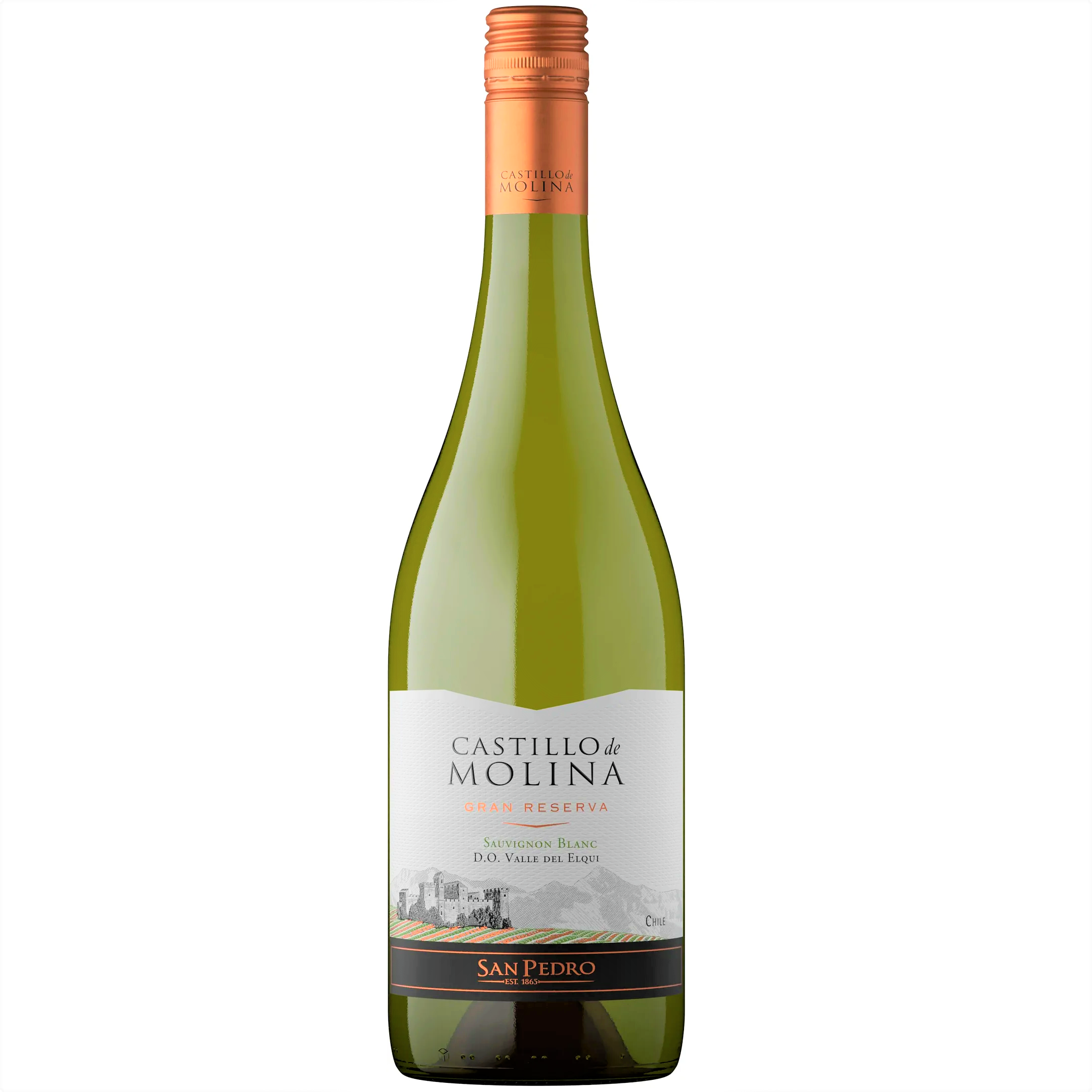Вино Castillo de Molina Sauvignon Blanc, біле, сухе, 11,5-14%, 0,75 л - фото 1