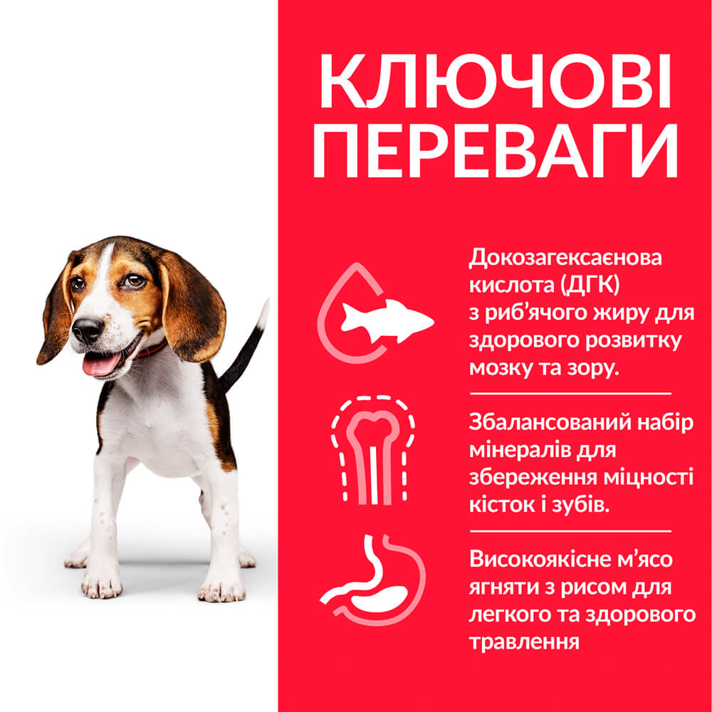 Сухий корм для цуценят середніх порід Hill’s Science Plan Puppy Medium Breed, з куркою, 2,5 кг (604267) - фото 4