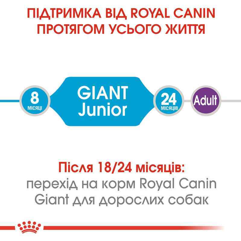 Сухий корм для цуценят гігантських порід від 8 до 24 місяців Royal Canin Giant Junior, 15 кг (3031150) - фото 8