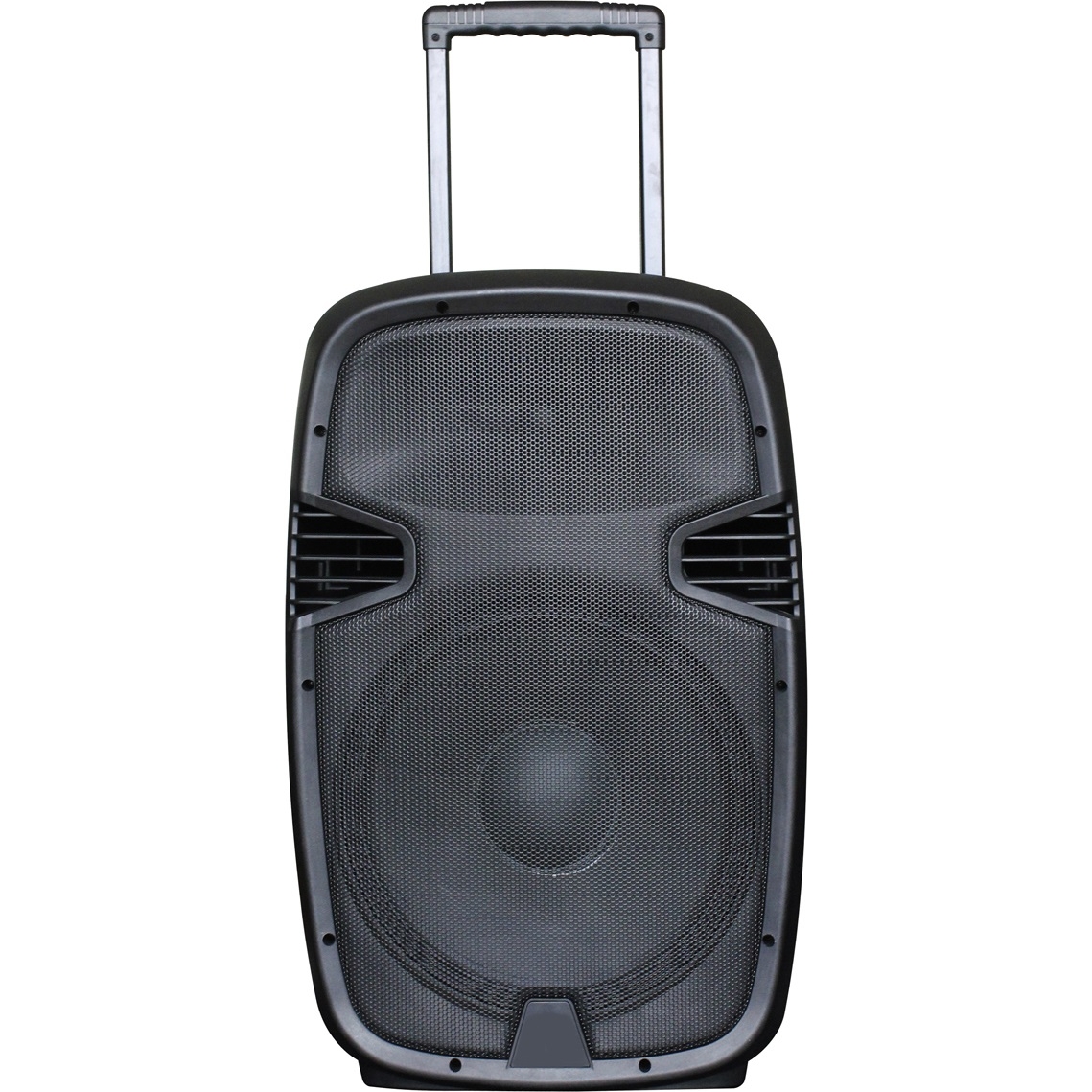 Автономная активная акустическая система BiG JB12RECHARGE350 два радиомикрофона караоке - фото 1
