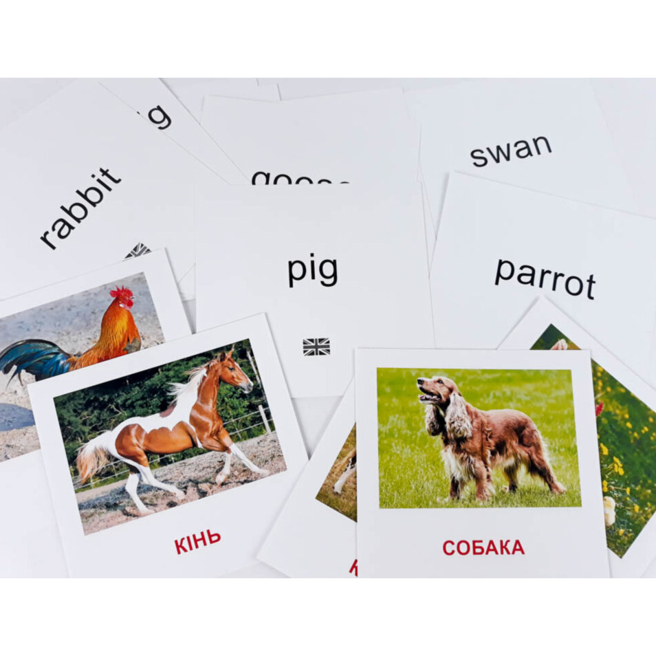 Картки міні Зірка Домашні тварини 11х11 см (286283) - фото 3