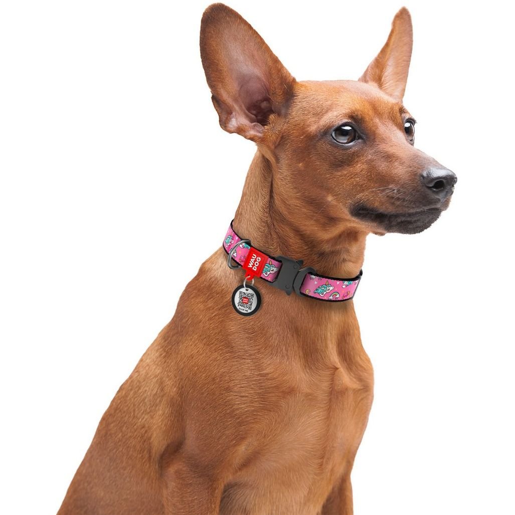 Нашийник для собак Waudog Nylon Єдинороги, з QR паспортом, металева пряжка-фастекс, 31-49х2,5 см - фото 4