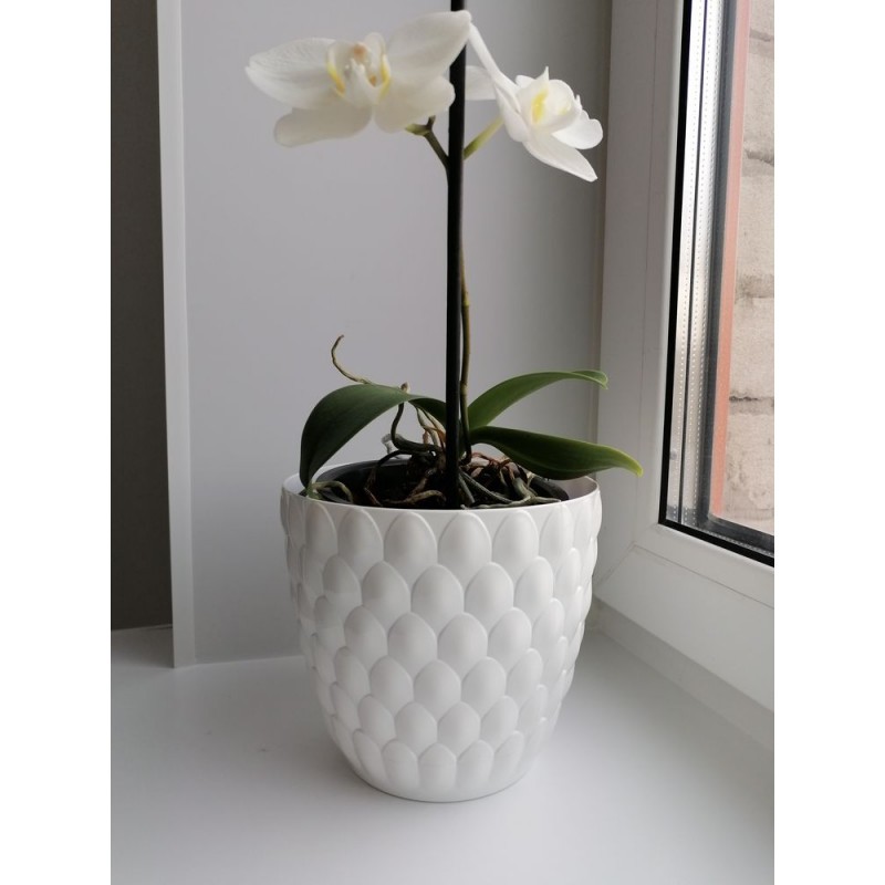 Горщик для квітів Alyaplastik Pinecone, 5.6 л, білий (ALY408white) - фото 10