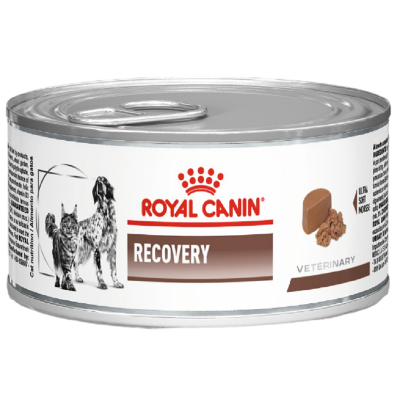 Консервированный корм для взрослых собак и кошек Royal Canin Recovery в период восстановления после анорексии 195 г - фото 1