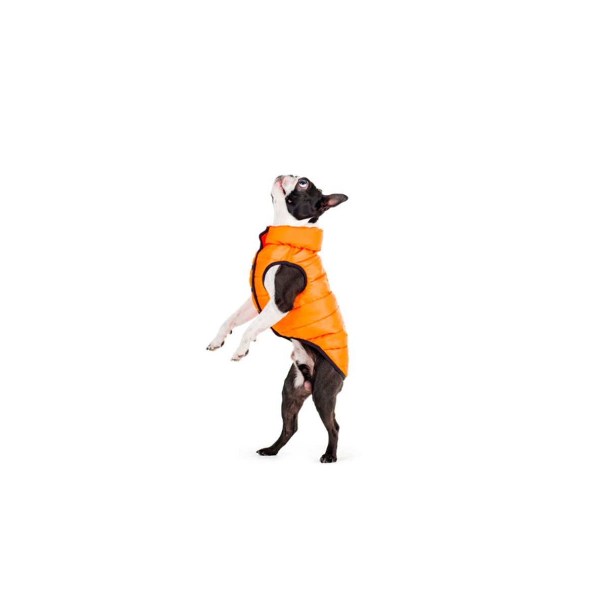 Курточка для собак AiryVest ONE, M40, помаранчевий - фото 4