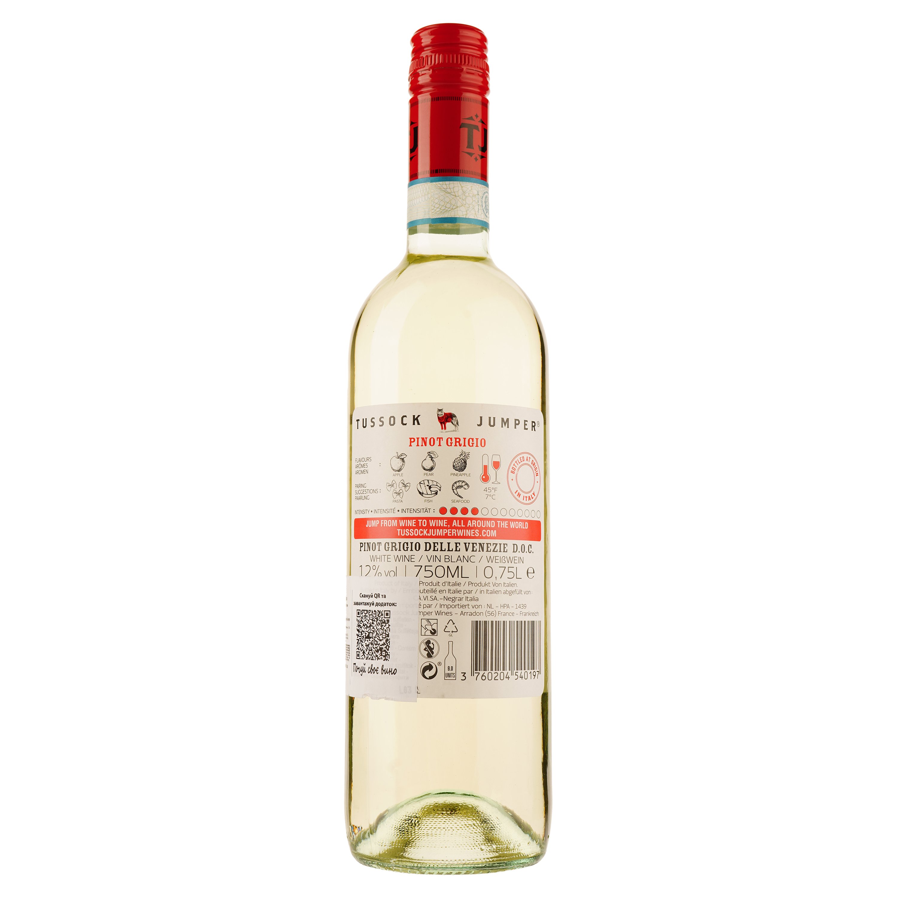 Вино Tussock Jumper Pinot Grigio Dellle Venezie, белое, сухое, 0,75 л - фото 2