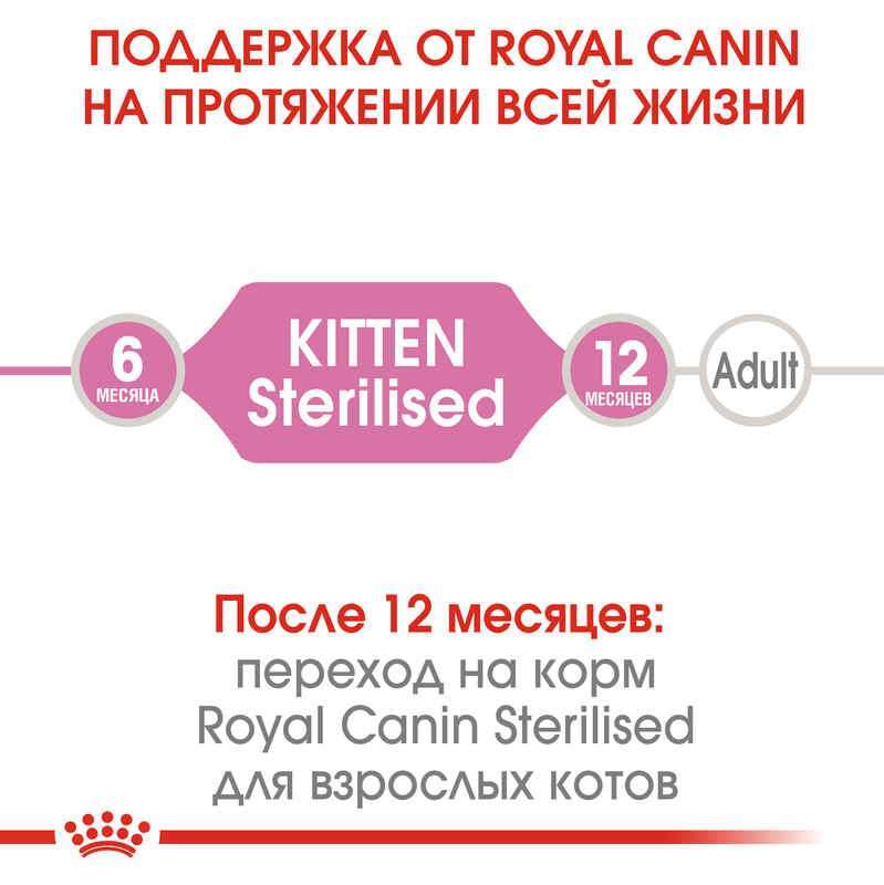 Сухой корм для котят после стерилизации Royal Canin Kitten Sterilised, 0,4 кг - фото 8