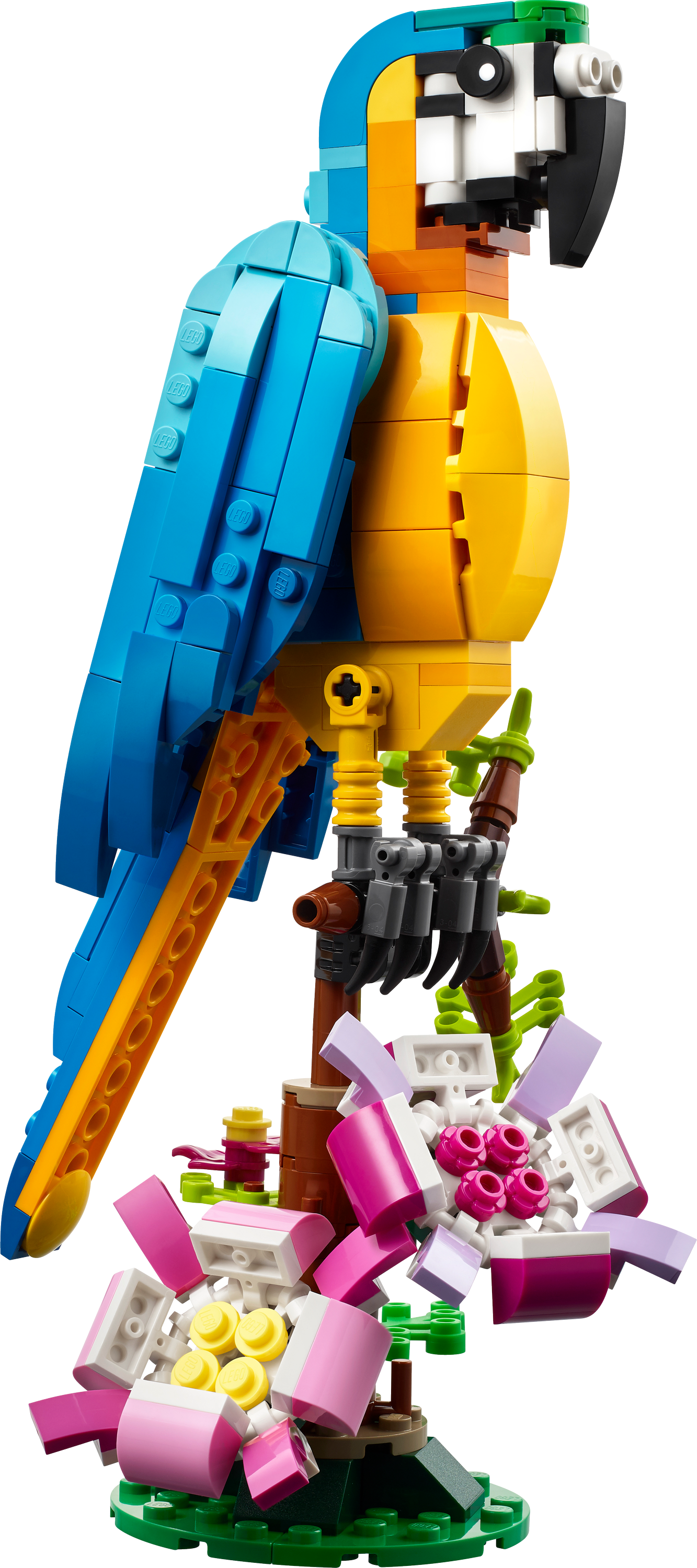 Конструктор LEGO Creator Экзотический попугай 3 в 1, 253 детали (31136) - фото 2