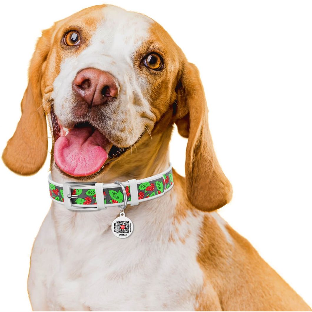 Ошейник для собак Waudog Design Калина, кожаный, с QR паспортом, XXS, 19-25х1,2 см, белый - фото 4