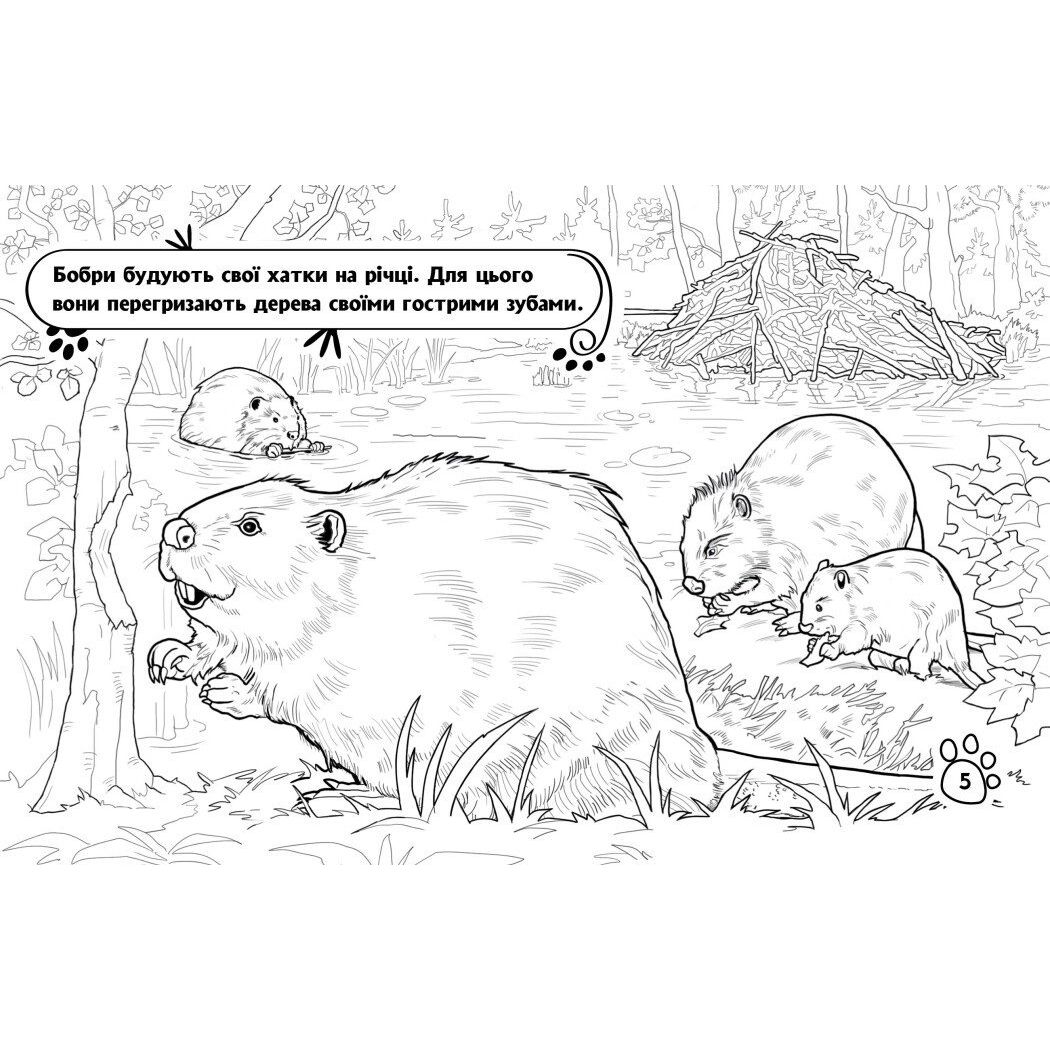 Розмальовка Видавництво Ранок Тварини в лісі (А583012У) - фото 4