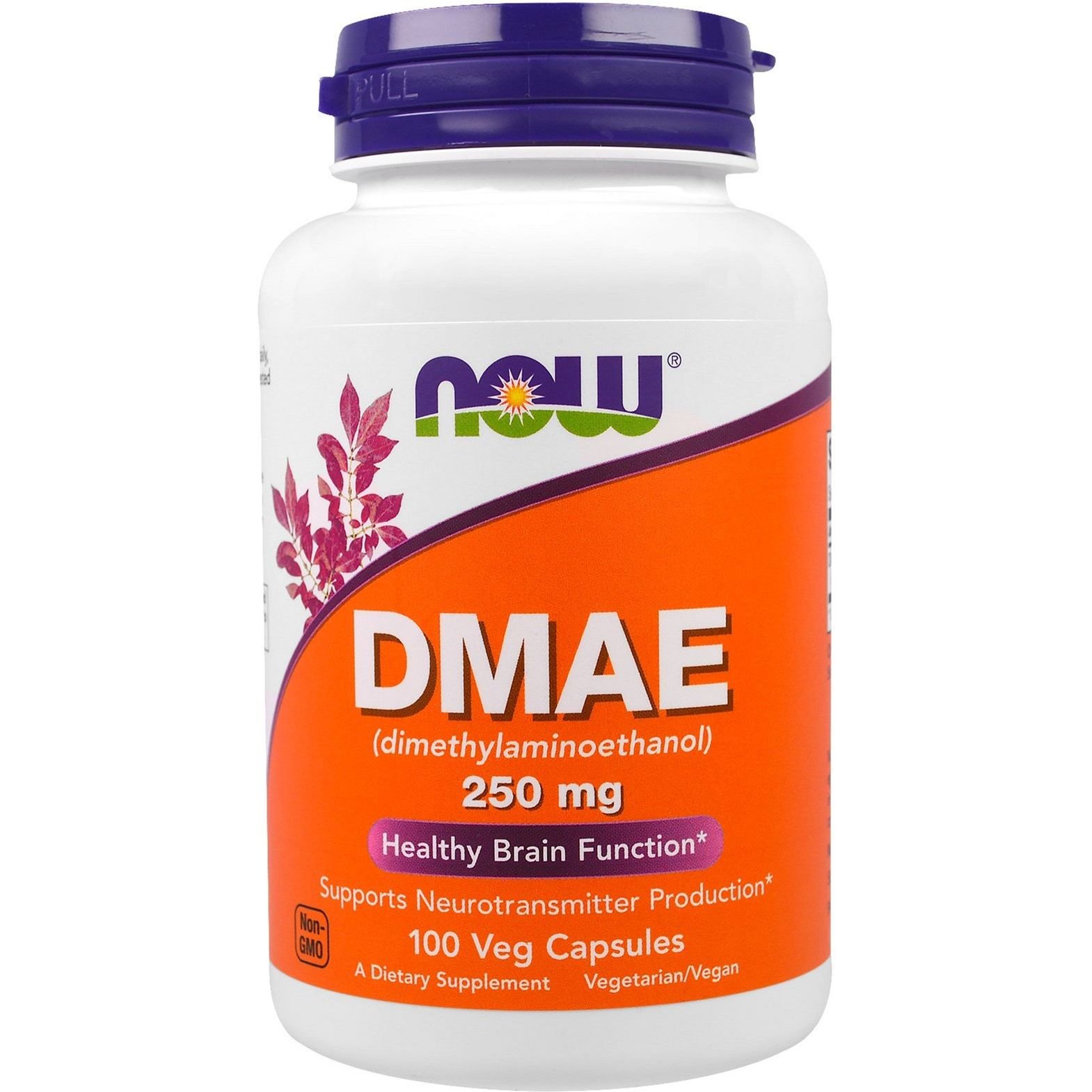 Фото - Амінокислоти Now Амінокислота  DMAE Диметиламіноетанол 250 мг 100 капсул 