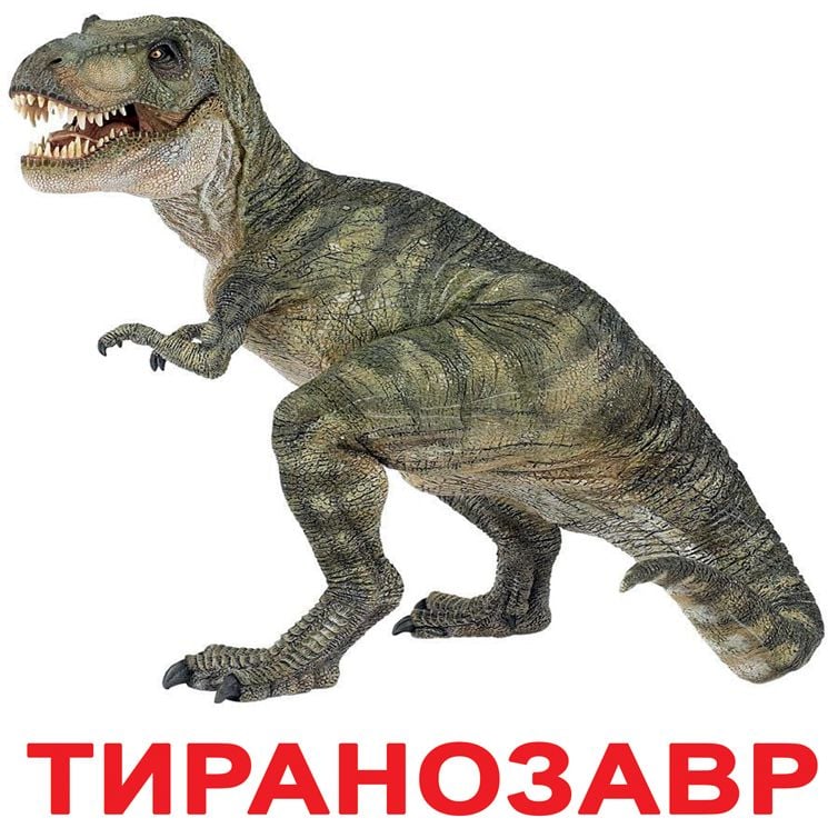Набір карток Вундеркінд з пелюшок Динозаври, 20 карток, укр. мова - фото 4