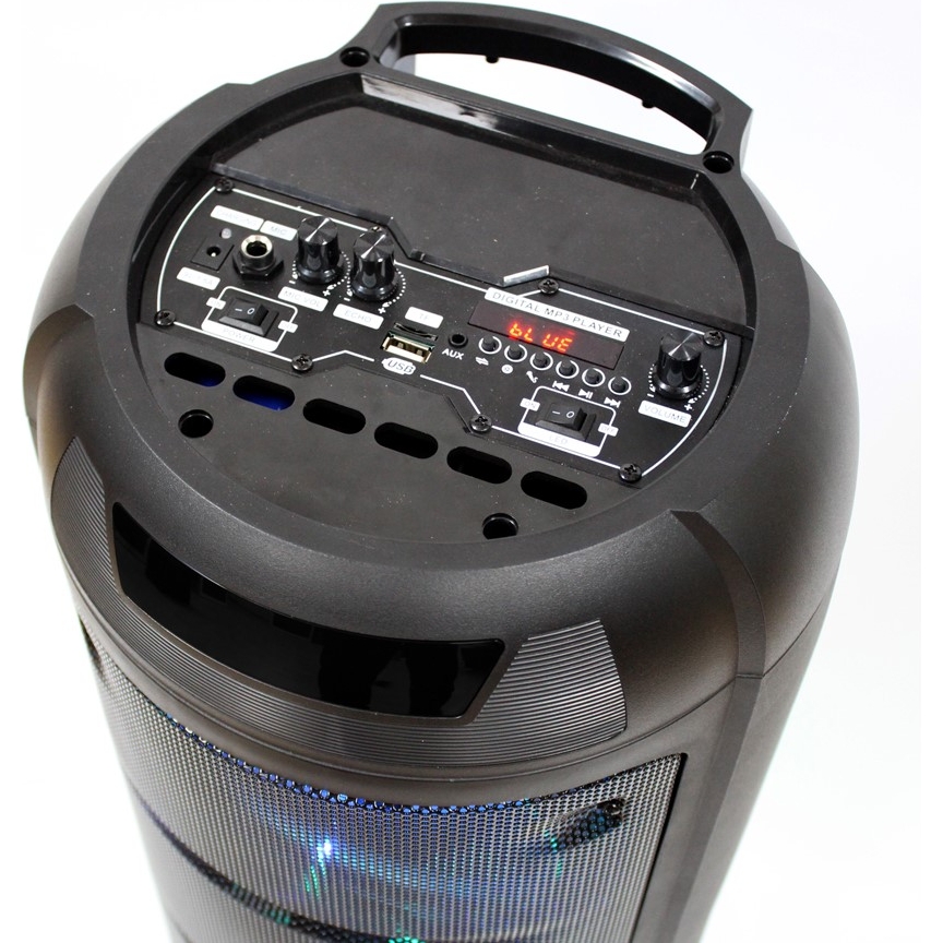 Автономная активная акустическая система BiG 150ELYSIUM два радиомикрофона караоке - фото 3