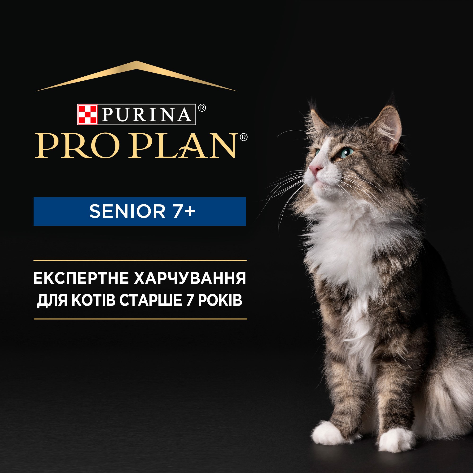 Влажный корм для кошек старше 7 лет Purina Pro Plan Senior, паштет, с тунцом, 85 г - фото 5