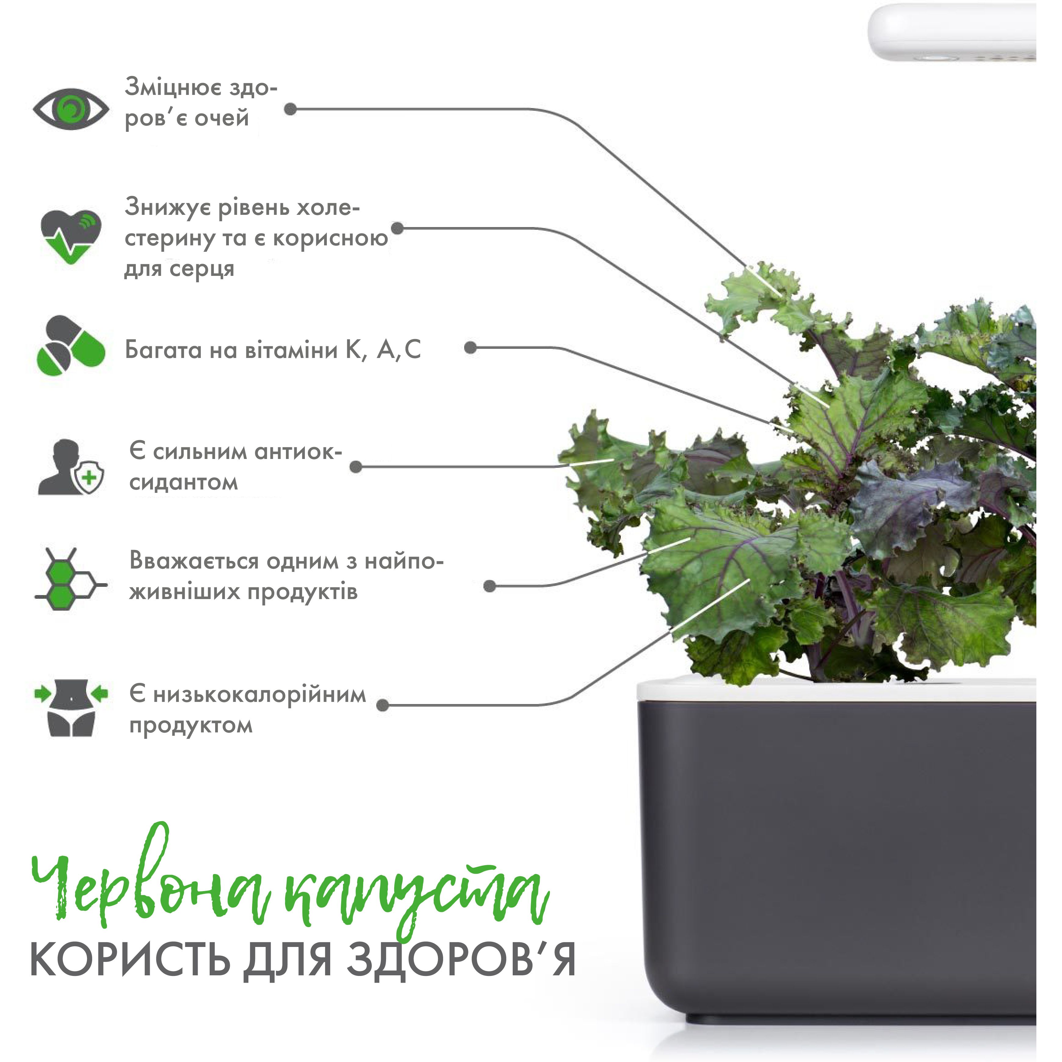 Сменный картридж Click & Grow Smart Garden Красная капуста, 3 капсулы (8752) - фото 4