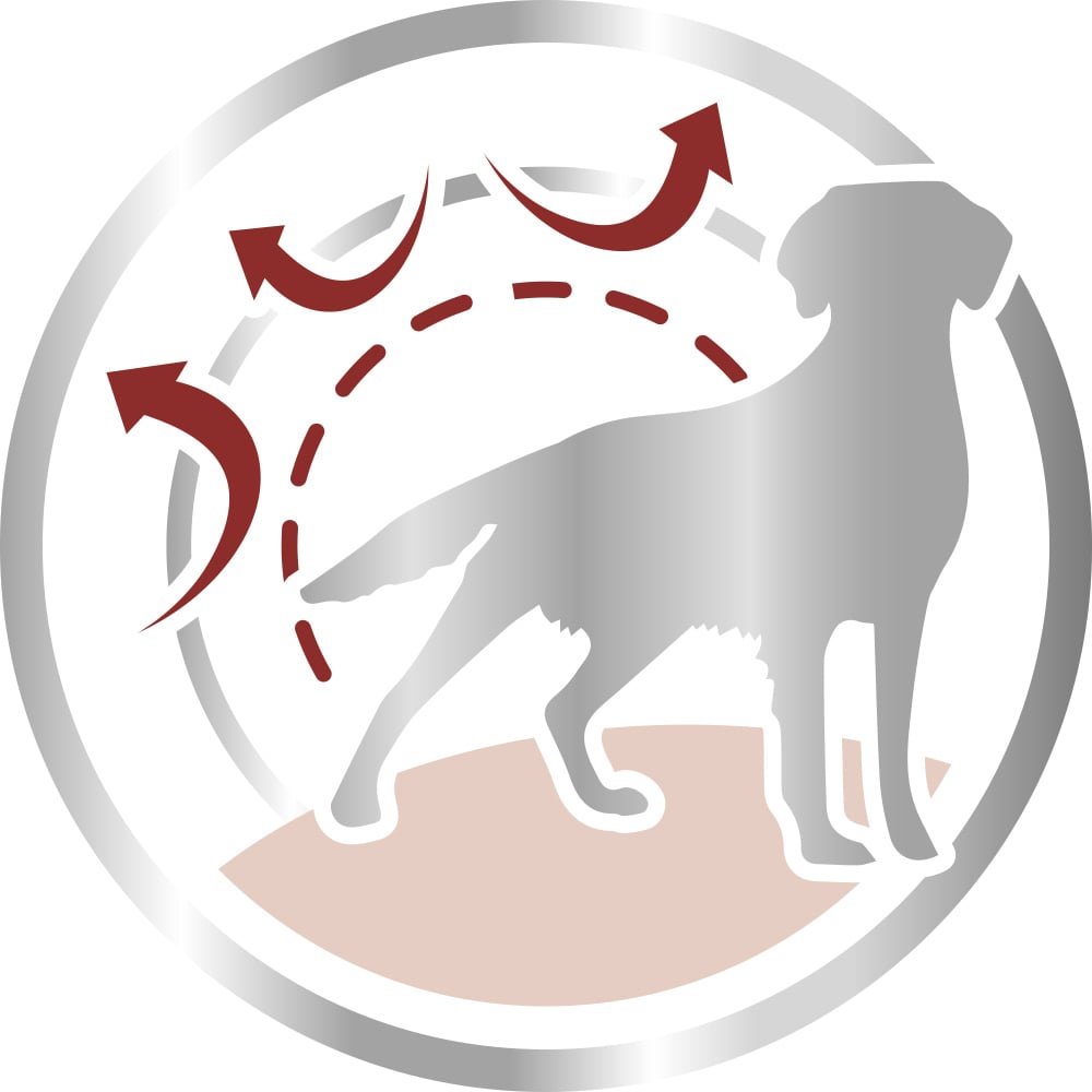 Сухий корм Royal Canin Medium Adult для дорослих собак середніх порід, з м'ясом птиці і кукурудзою, 15 кг - фото 3