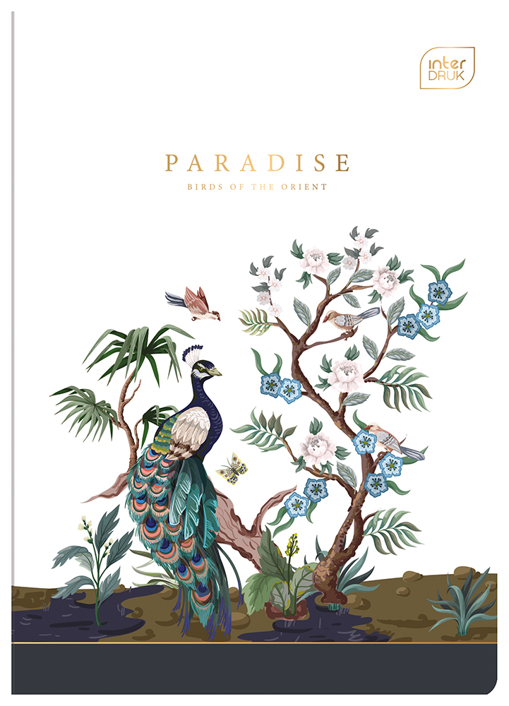 Тетрадь Interdruk Paradise, линия, A5, 60 листов, 4 шт. (298959-4) - фото 3