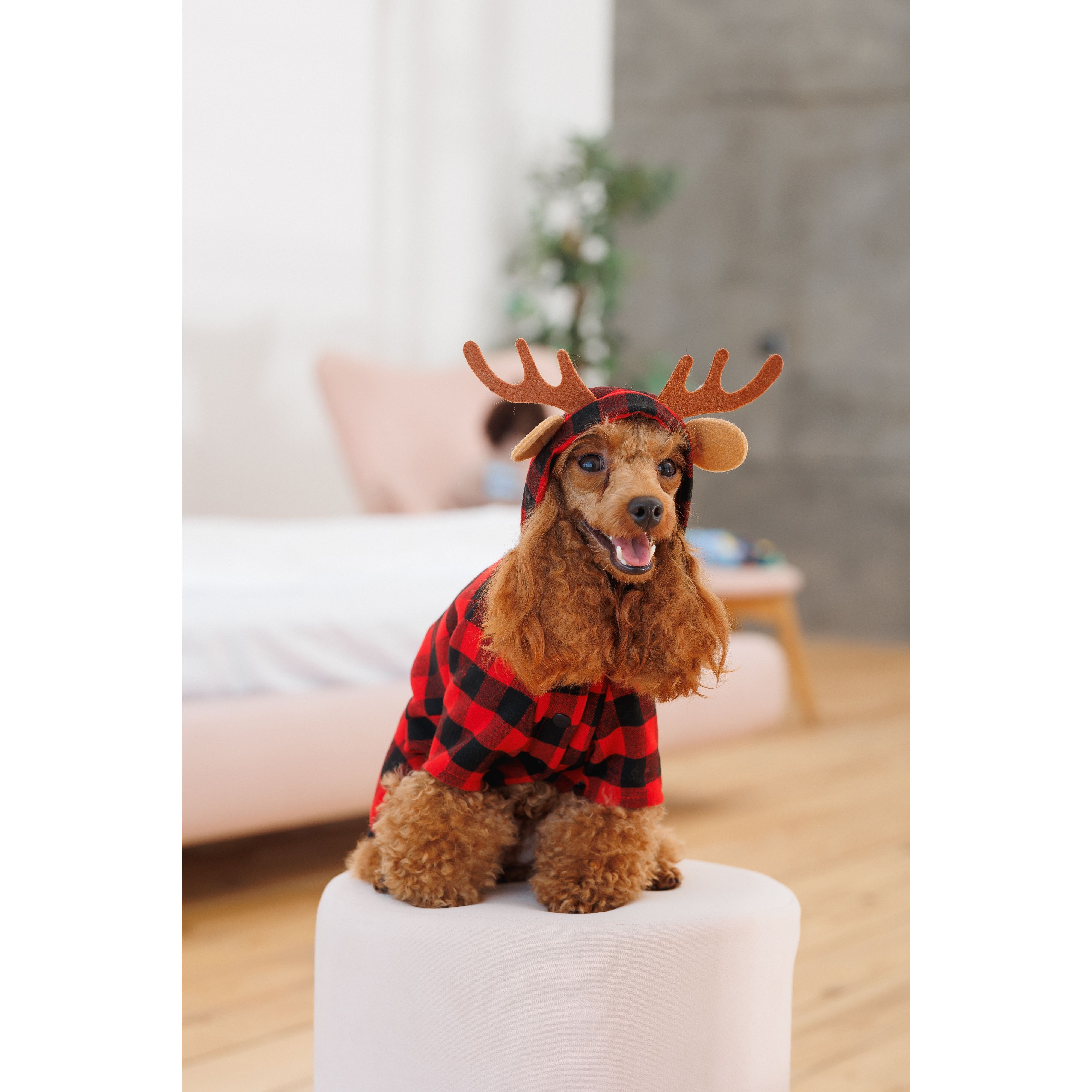 Костюм для собак Pet Fashion Xmas S червоний - фото 5