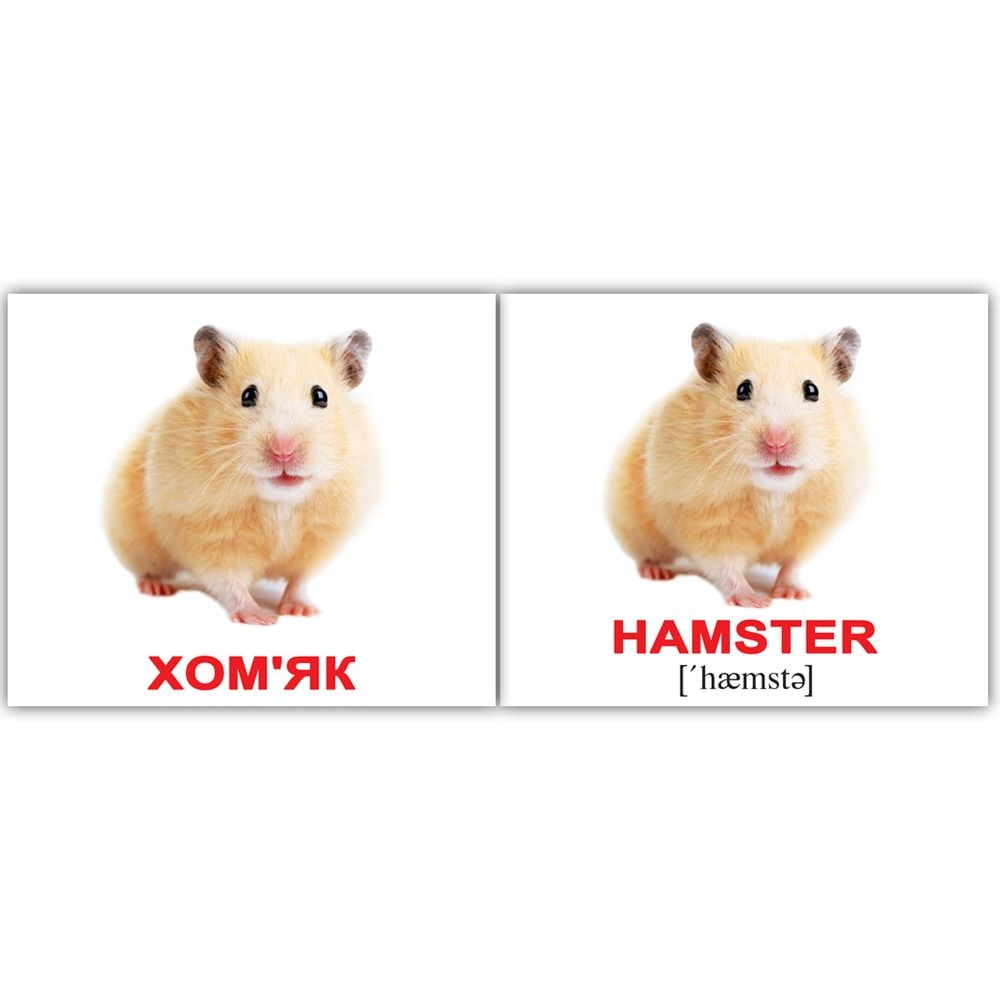 Набір карток Вундеркінд з пелюшок Домашні тварини/Domestic animals, укр.-англ. мова, 40 шт. - фото 3