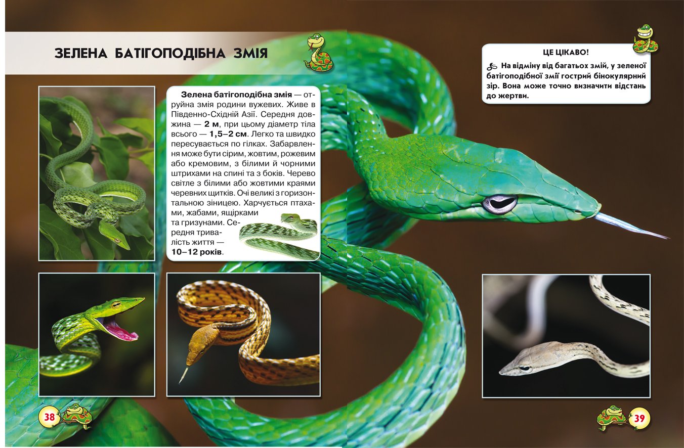 Фотоенциклопедія Кристал Бук Світ навколо нас Змії (F00020898) - фото 3