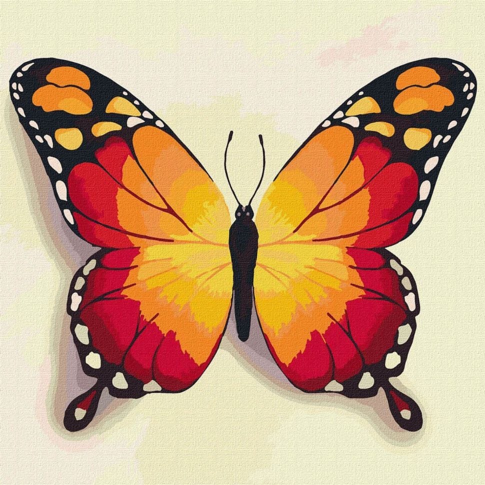 Картина за номерами Ideyka Помаранчевий метелик 25х25 KHO4210 - фото 1