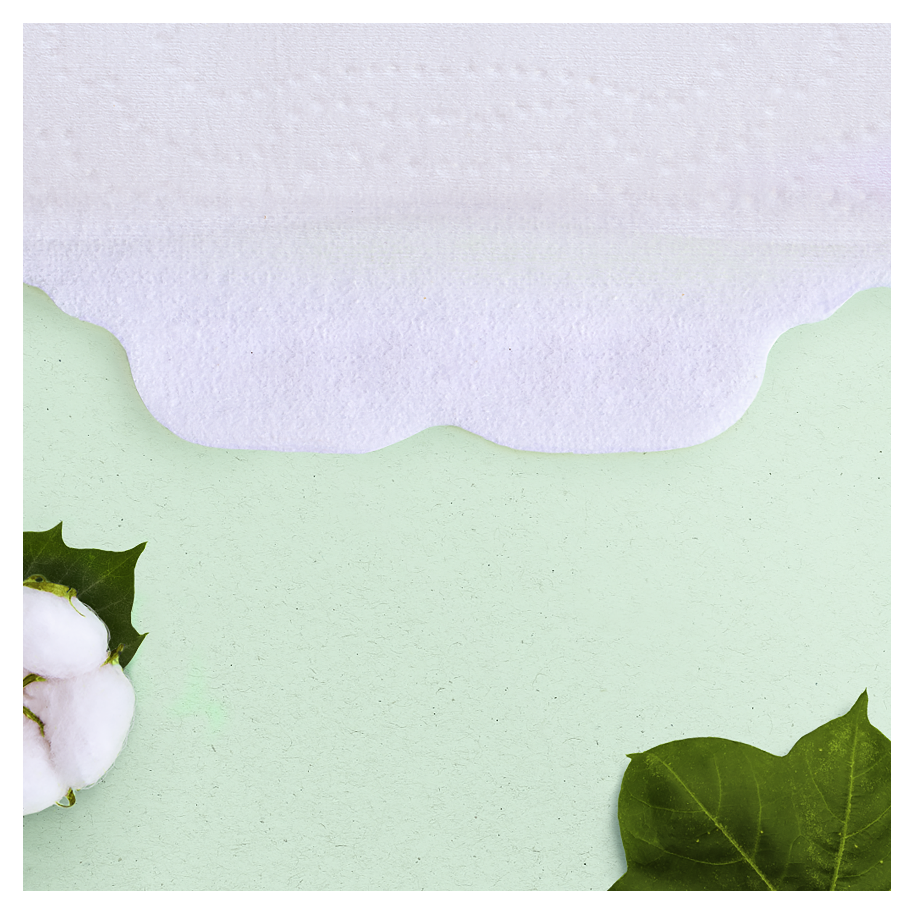 Гігієнічні прокладки Naturella Cotton Protection Ultra Maxi, 10 шт. - фото 6