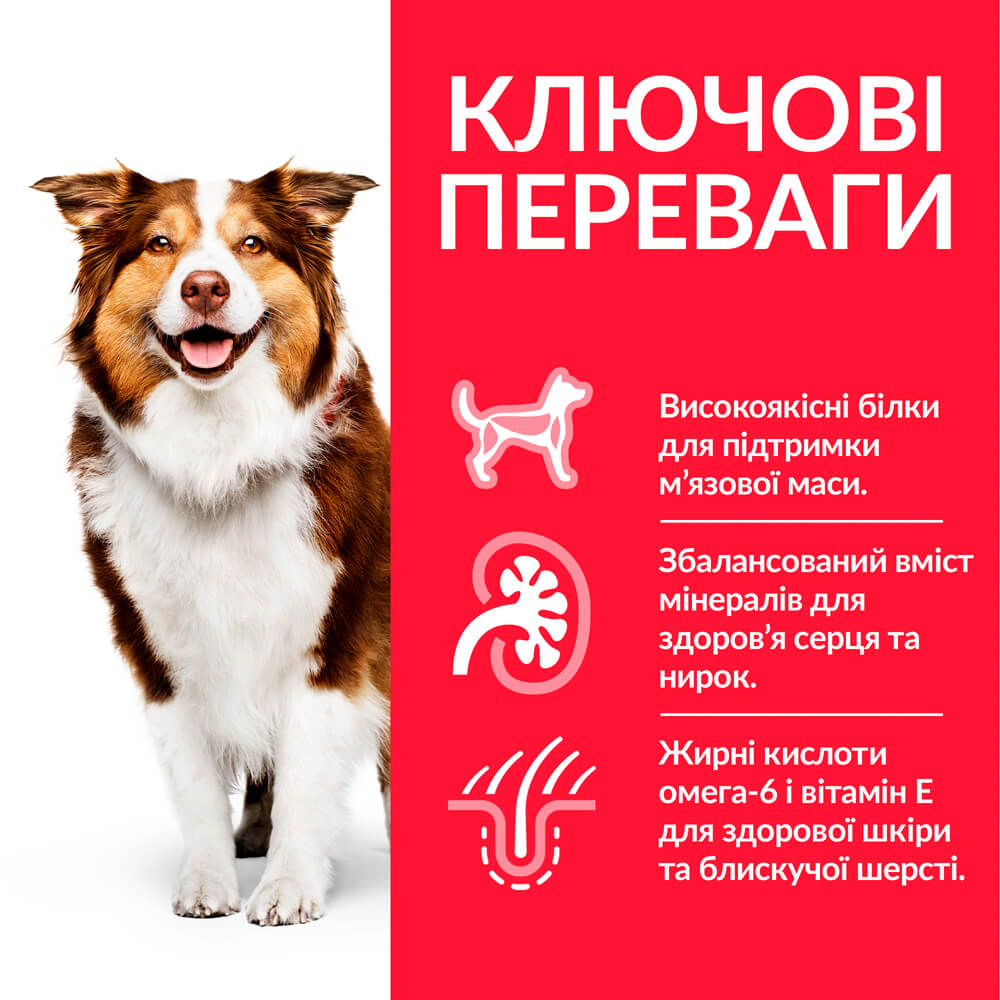 Сухой корм для зрелых собак средних пород Hill’s Science Plan Mature Adult 7+ Medium Breed, от 7 лет, с курицей, 14 кг (604378) - фото 3