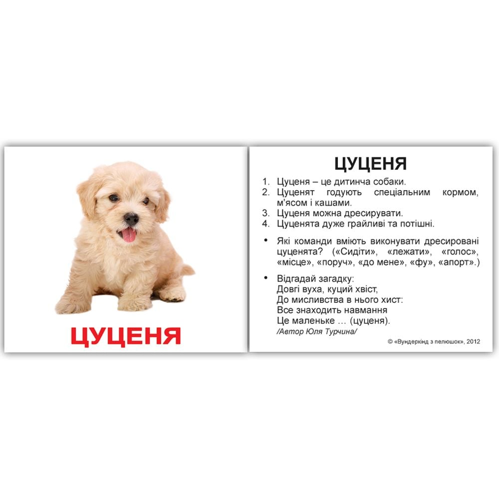 Набір карток Вундеркінд із пелюшок Домашні тварини, з фактами, укр. мова, 40 шт. - фото 4