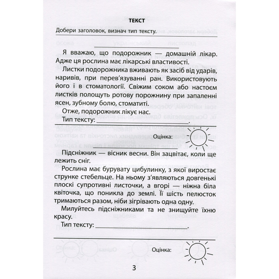 Навчальна книга Час Майстрів 3000 вправ та завдань. Українська мова 3 клас - фото 3