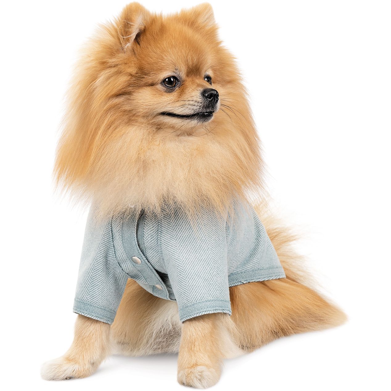 Кардиган для собак Pet Fashion Denis S мятный - фото 3