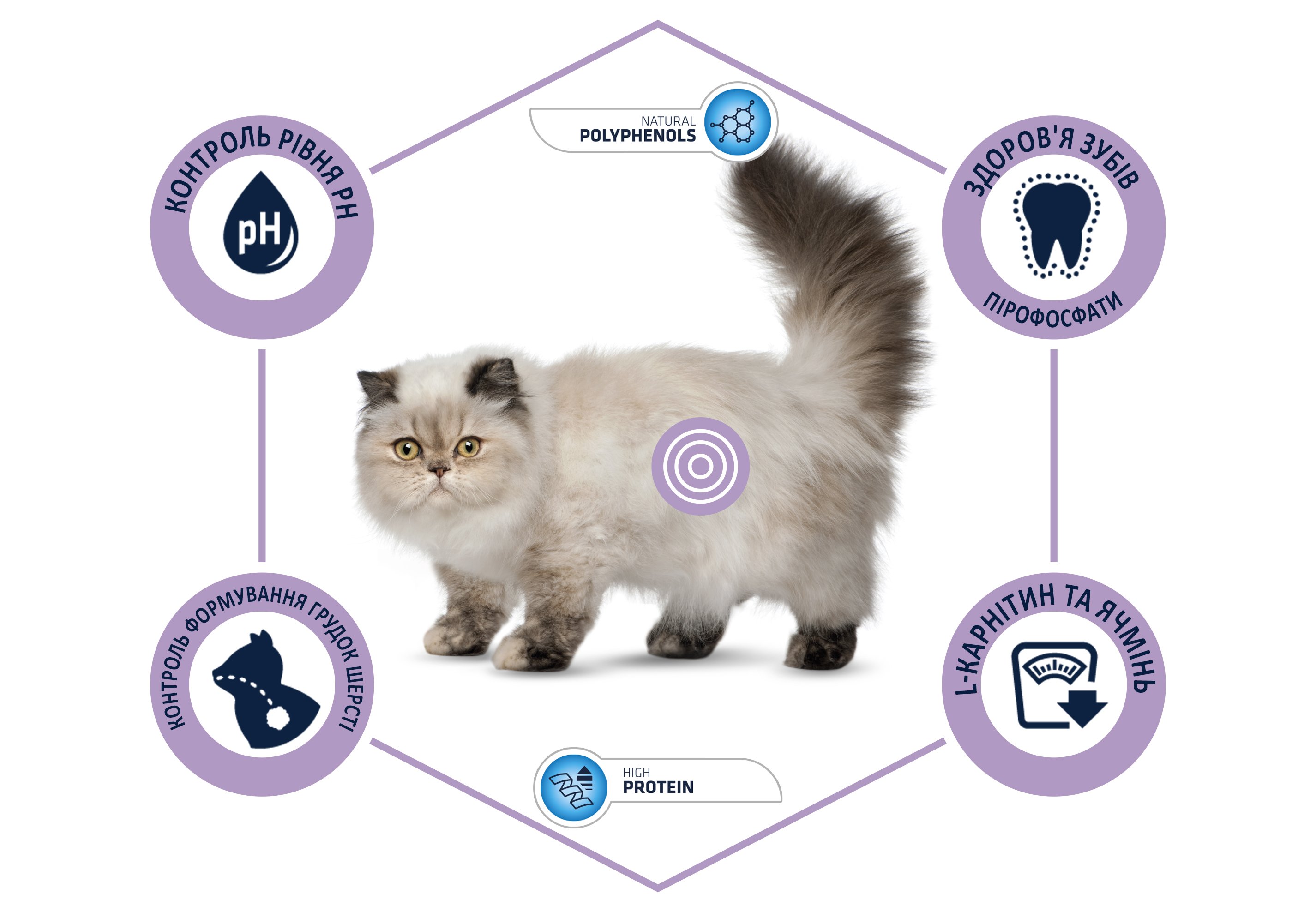Сухий корм виведення шерсті у стерилізованих котів Advance Cat Sterilized Hairball, з індичкою, 1,5 кг - фото 6