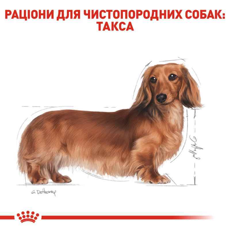 Сухий корм для дорослих собак породи Такса Royal Canin Dachshund Adult, 1,5 кг (3059015) - фото 3