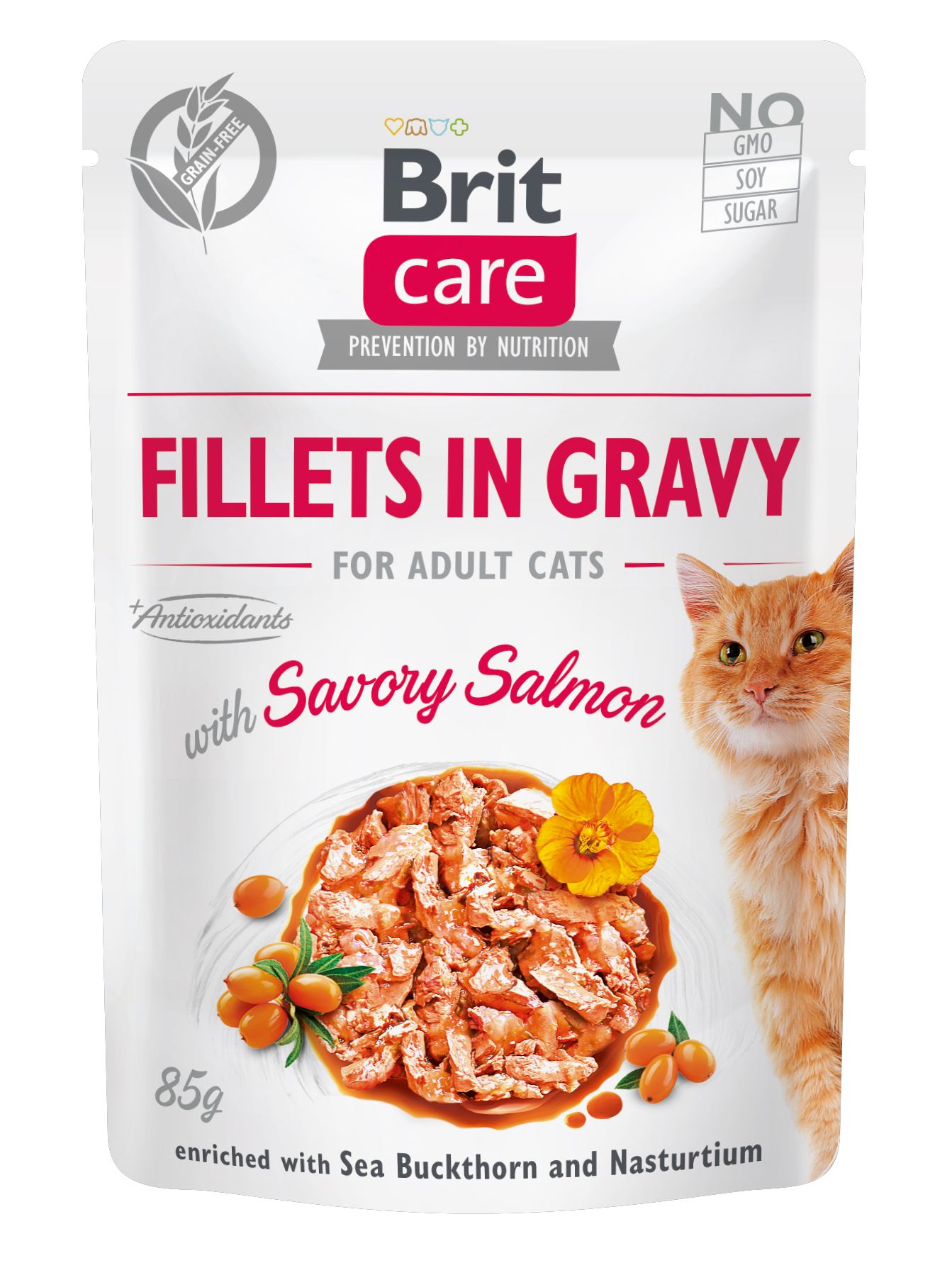Беззерновой влажный корм для кошек Brit Care Cat pouch, пикантный лосось, 85 г - фото 1