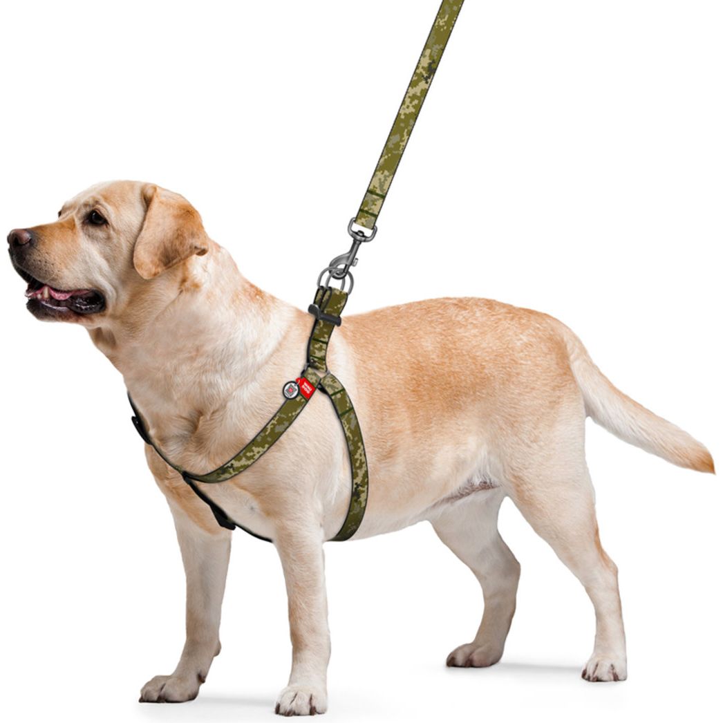 Шлея для собак Waudog Nylon Милитари, с QR паспортом, L, 60-90х2,5 см, оливковый - фото 3