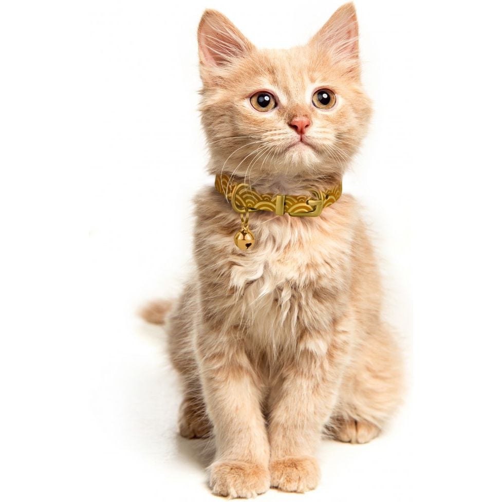 Ошейник для кошек BronzeDog Barksi Classic Море кожаный одинарный с золотым тиснением 2XS 18-25х1 см горчичный - фото 4