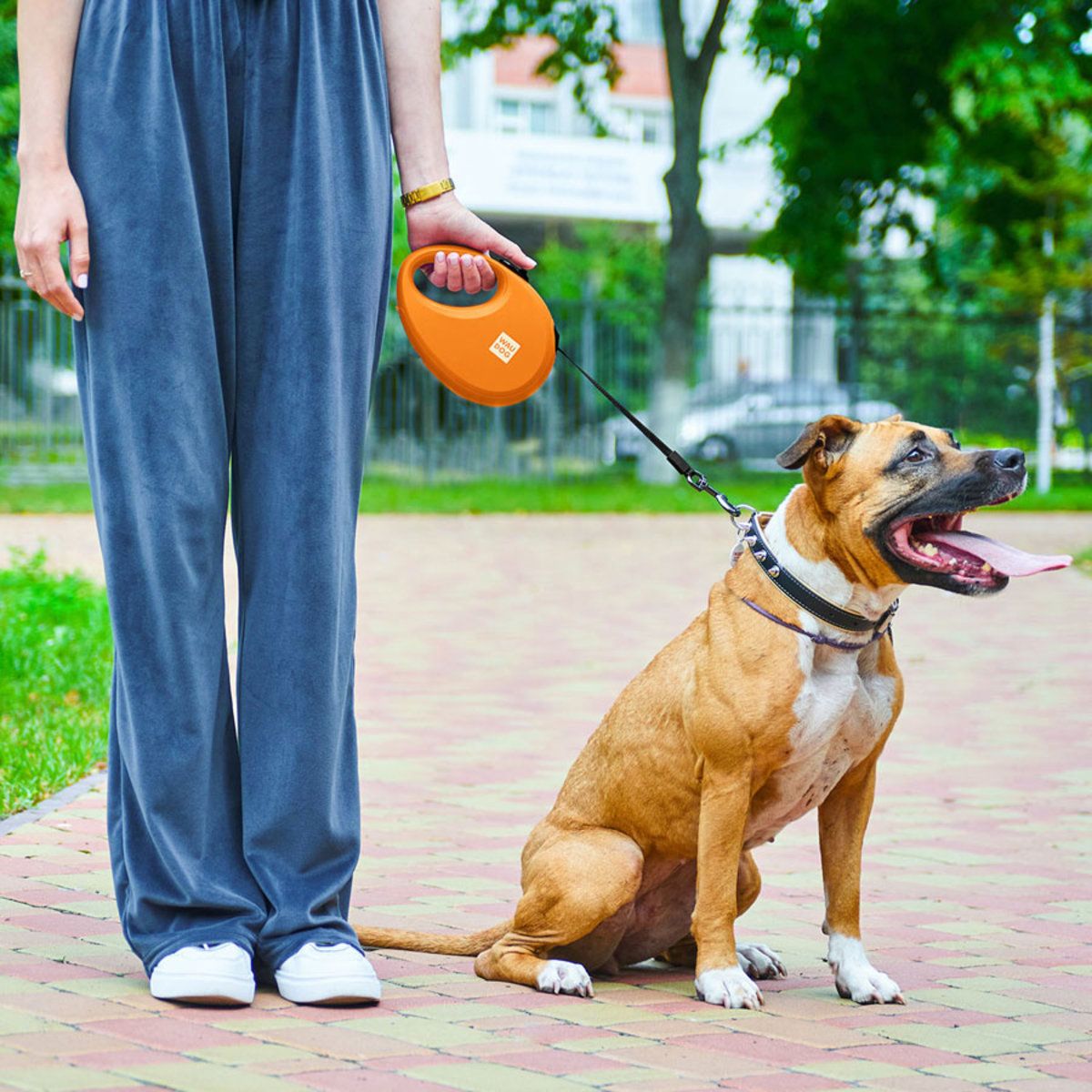 Повідець-рулетка для собак Waudog R-leash з контейнером для пакетів, світловідбивна стрічка, L до 40 кг, 5 м помаранчевий - фото 10