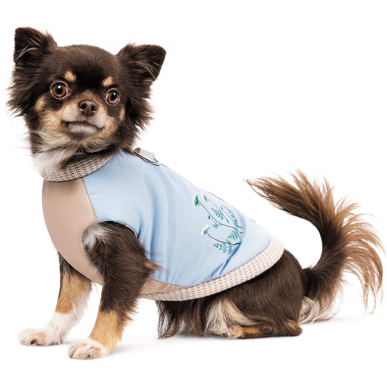Жилет для собак Pet Fashion Kris XS капучіново-блакитний - фото 2