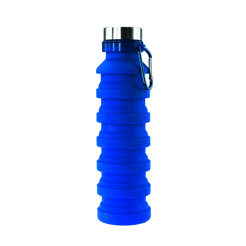 Бутылка для воды Bergamo Pagoda, 550 мл, синий (3000B-3) - фото 1