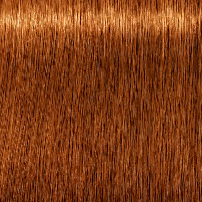 Перманентна фарба для сивого волосся Schwarzkopf Igora Royal Absolutes, відтінок 7-70 (середньо-русий мідний натуральний), 60 мл (2682024) - фото 2