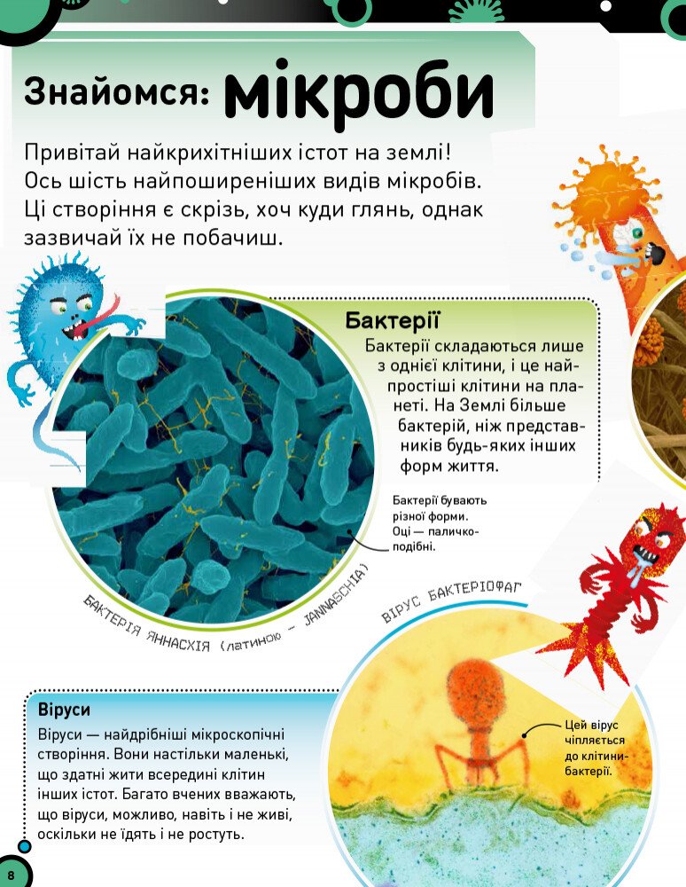 Книга Ранок Небачені бактерії. Зухвалі бацили, підступні віруси та хитрі гриби - Стів Молд (Н902036У) - фото 6