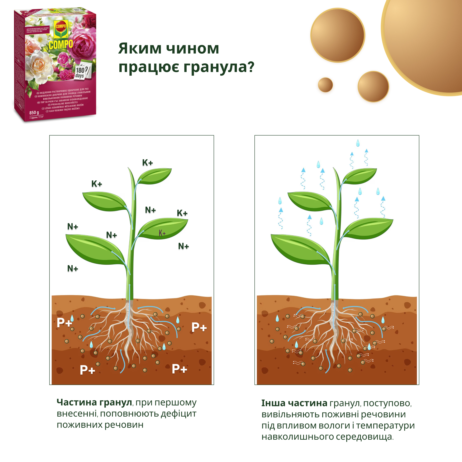 Твердое удобрение длительного действия Compo для роз 0.85 кг (1574) - фото 4