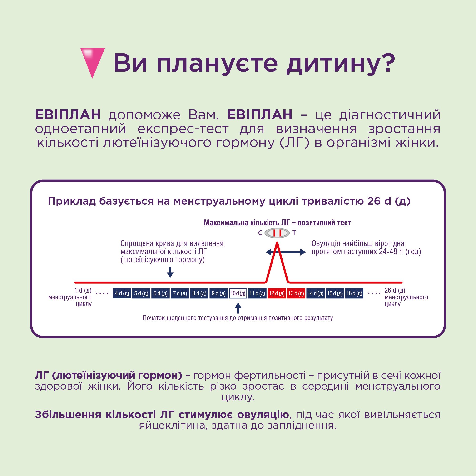 Набір тест-смужок Eviplan для визначення овуляції та вагітності, 5+1 шт. (4033033418036) - фото 4