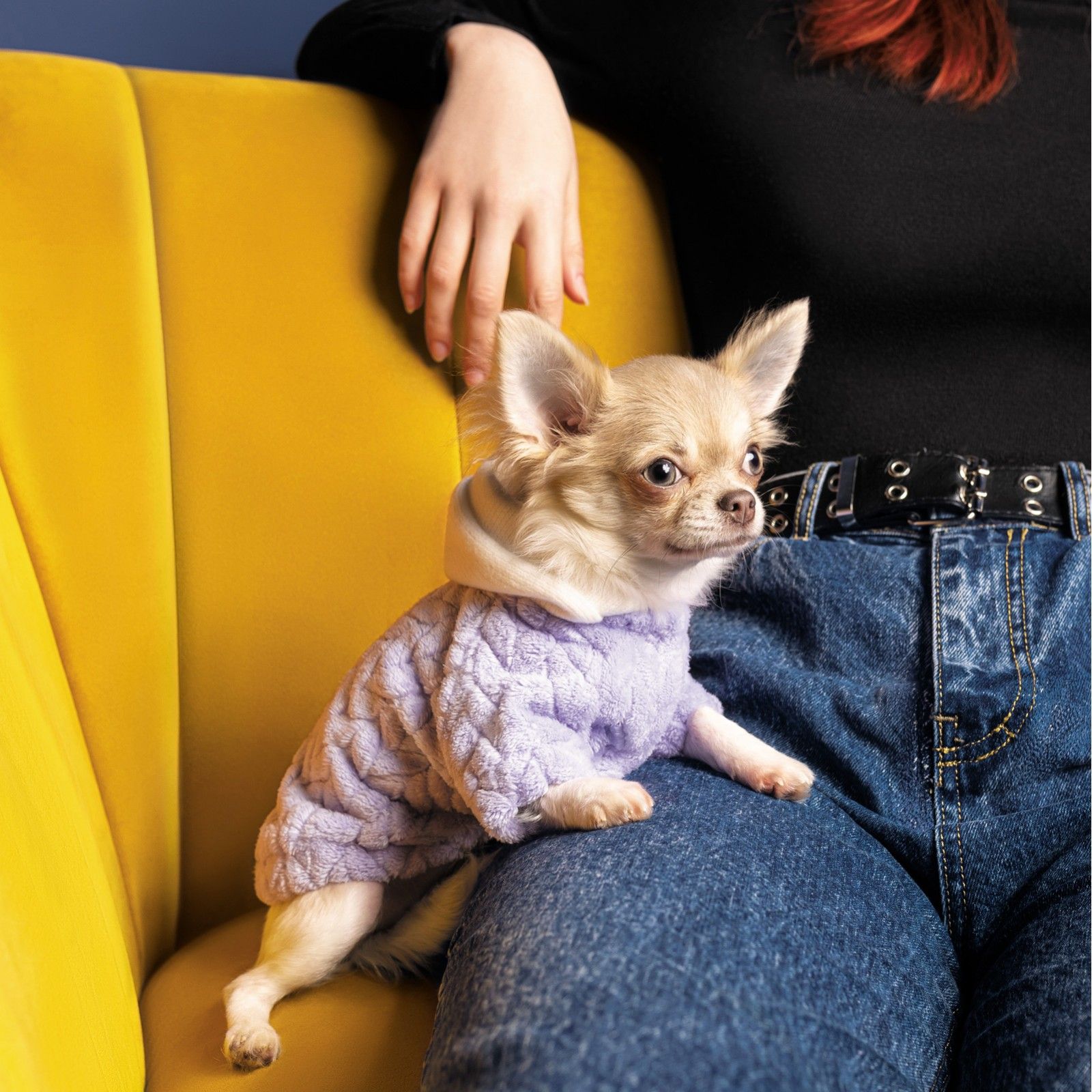 Толстовка Pet Fashion Delicate XS лиловая - фото 3