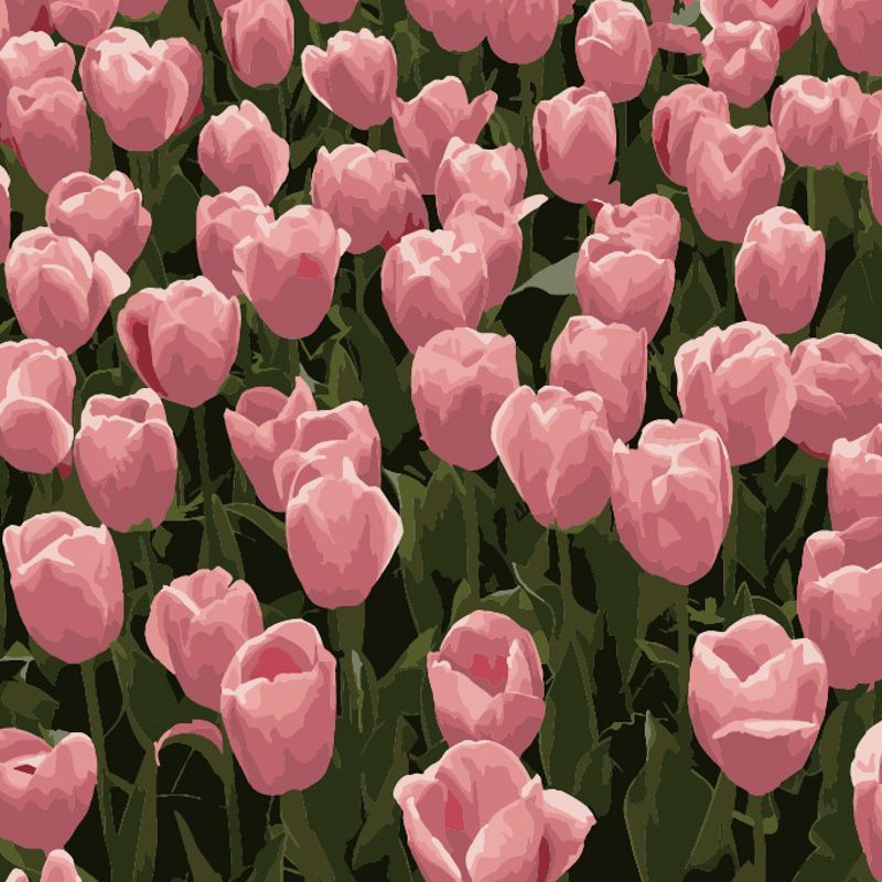 Набор для росписи по номерам Strateg Розовые тюльпаны 20х20 см (HH5113) - фото 1