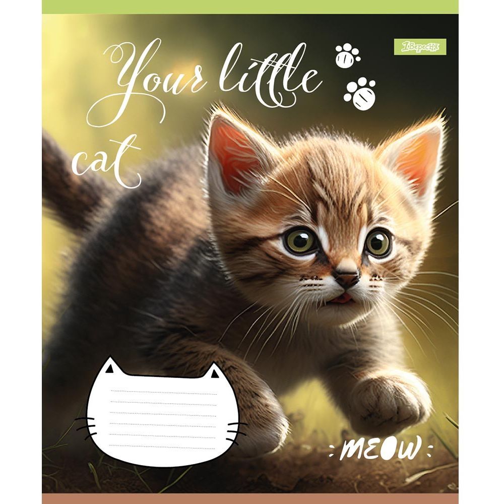 Зошит загальний 1 Вересня Your Little Cat, А5, в клітинку, 24 аркуша (766627) - фото 4