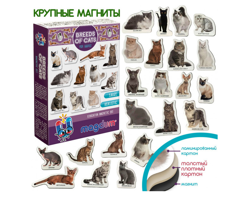 Магнитный набор Magdum Magnetic set Breeds of cats Породы кошек (ML4031-13 EN) - фото 2
