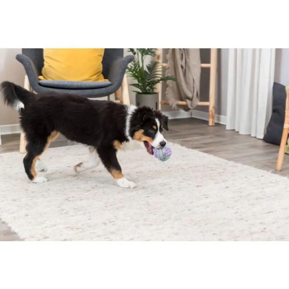 Игрушка для собак Trixie Мяч-канат, d9 см (32814) - фото 5