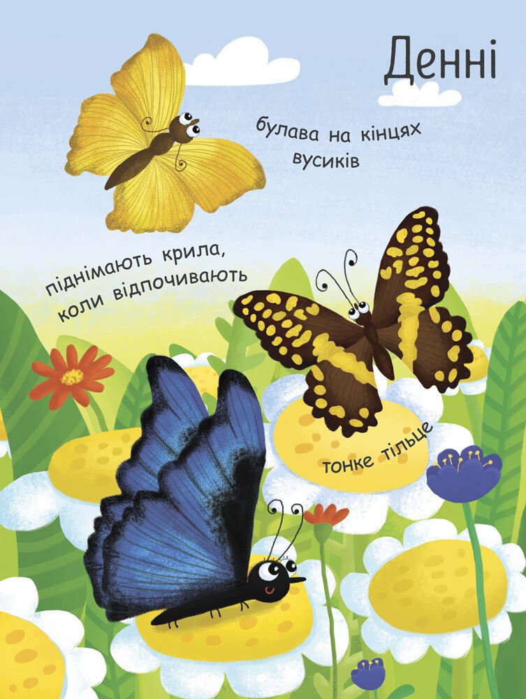 Моя перша енциклопедія Ранок Як народжується метелик? - Ганна Булгакова (Л807010У) - фото 8