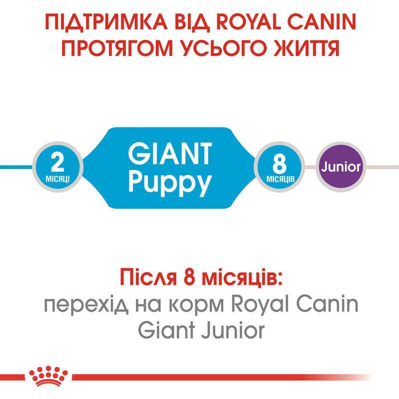 Сухий корм для щенят гігантських порід Royal Canin Giant Puppy, 1 кг (3030010) - фото 7